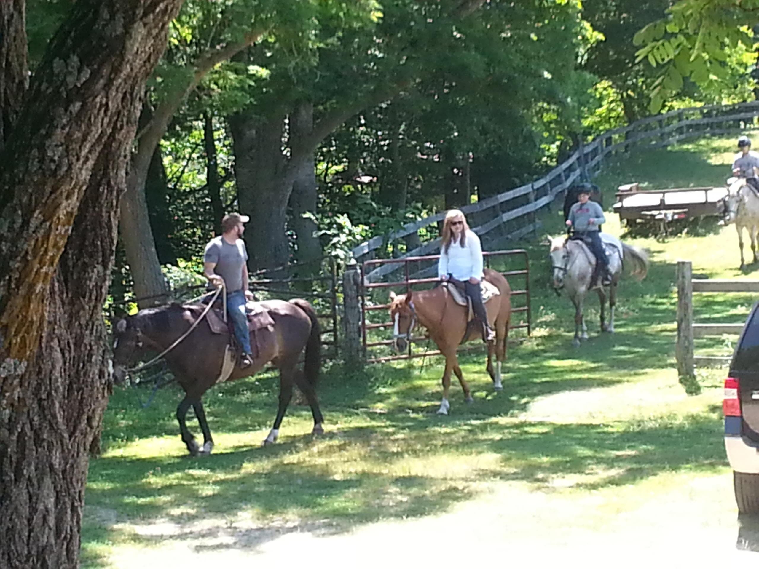 Explore North Carolina’s Fern Forest Trail: A Scenic Horseback Adventure Near Cullowhee