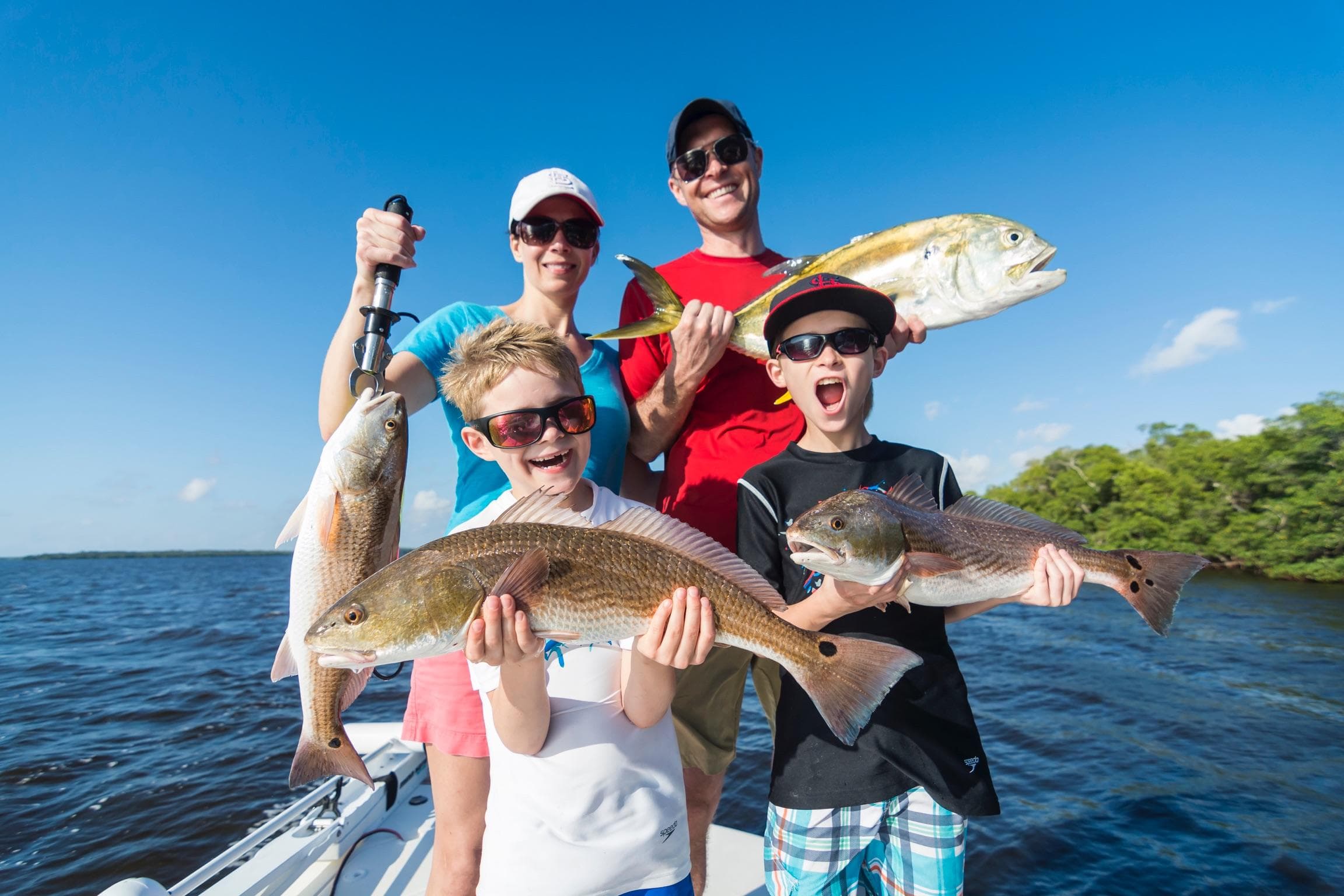 Water Activities & Endless Summer Charters: Coastal Dolphin Tours