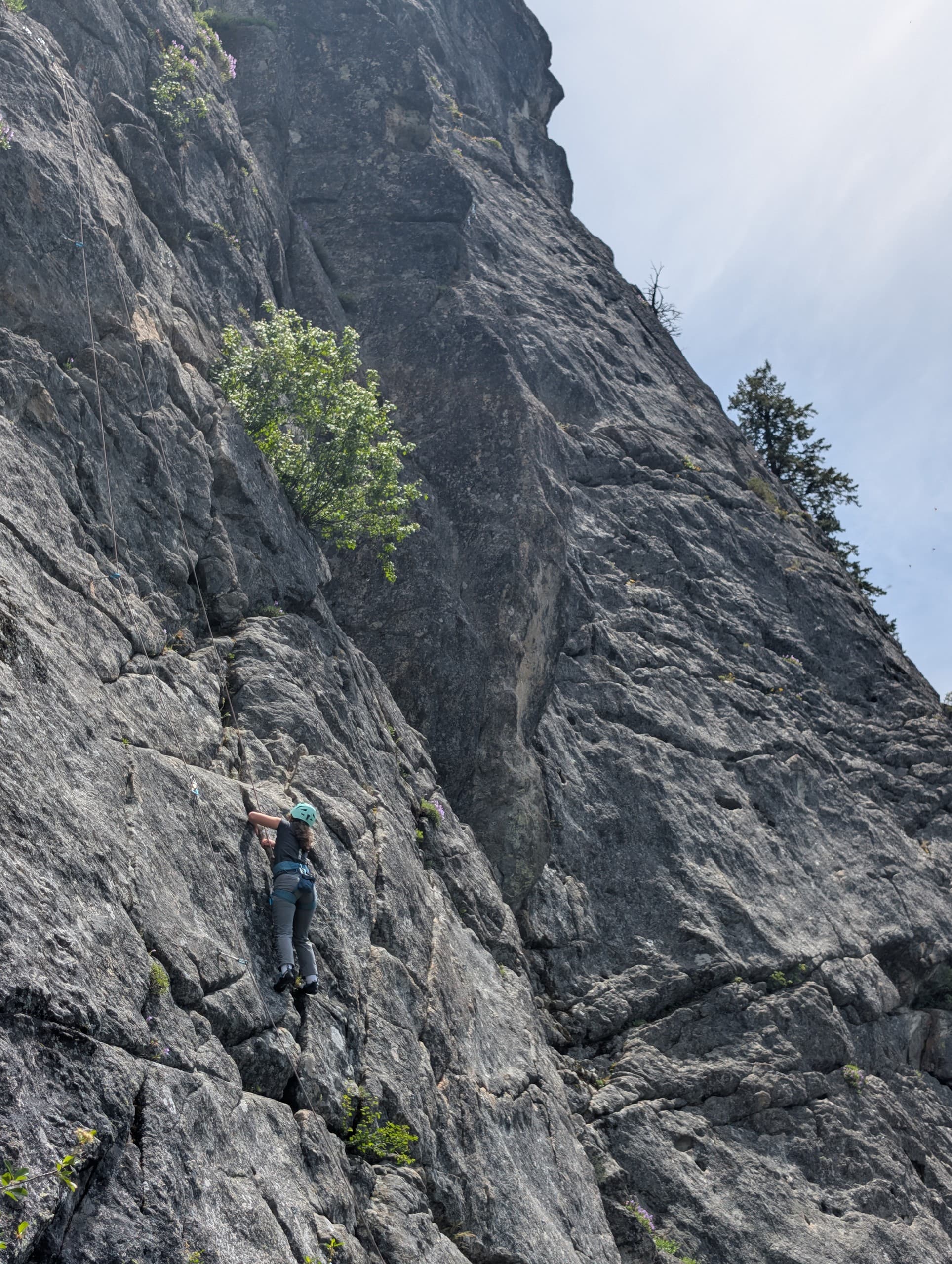 Private Guided Rock Climbing in McCall, Idaho — Half & Full Day Adventures photo 3