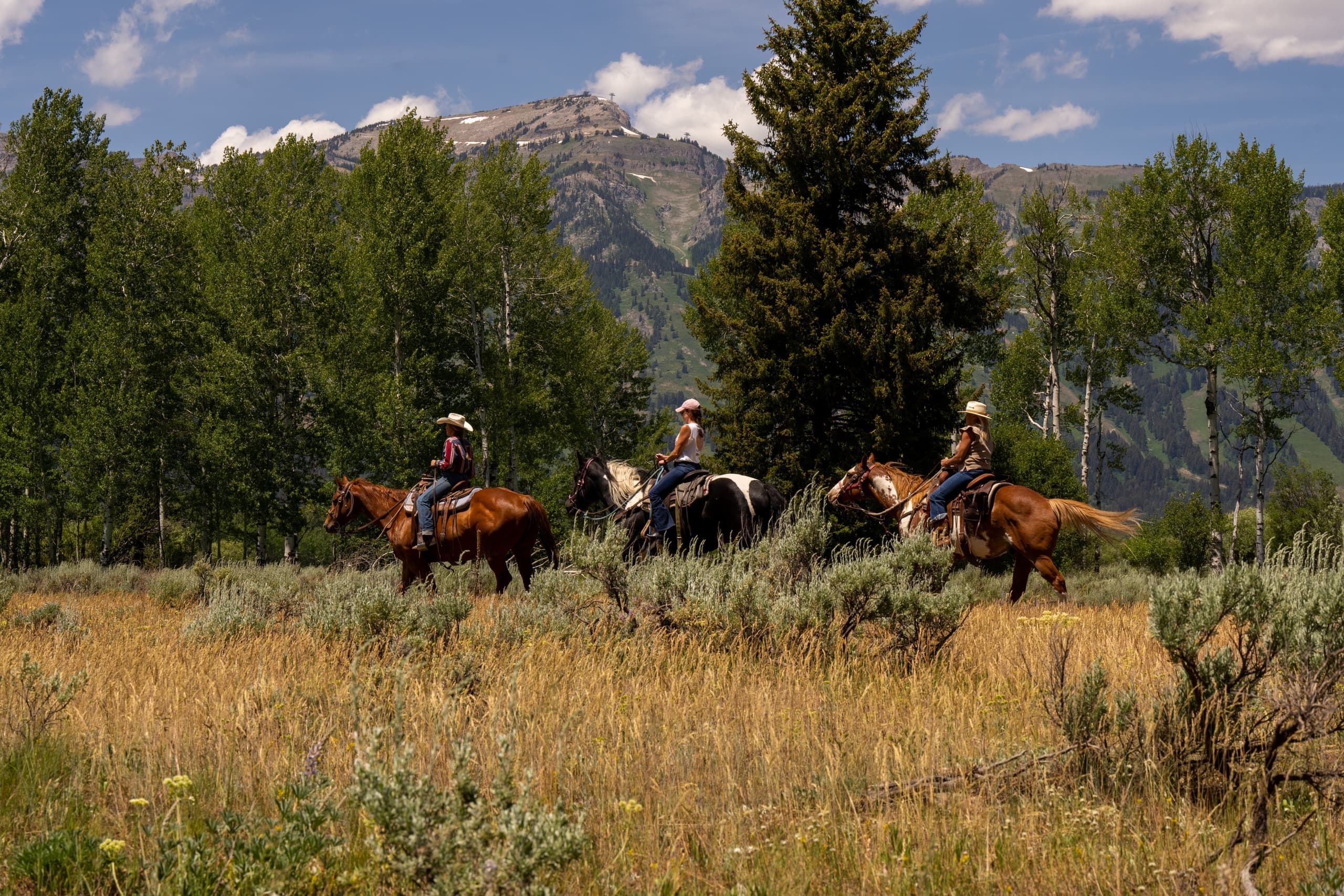 Land Adventure at Snake River Ranch: Horseback Riding Near Jackson