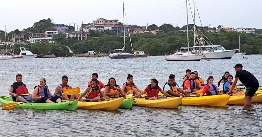 Biobay Kayaking Tour in Fajardo, Puerto Rico