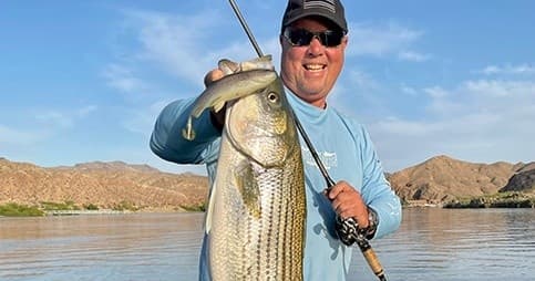 Fishing at Willow Beach with Las Vegas Sportfishing in Nevada