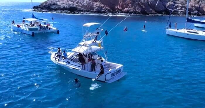 Group fishing trip with boats and swimmers in Cabo bay waters