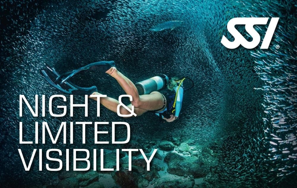 Night Diving Thrills with Aquatis in Costa Teguise