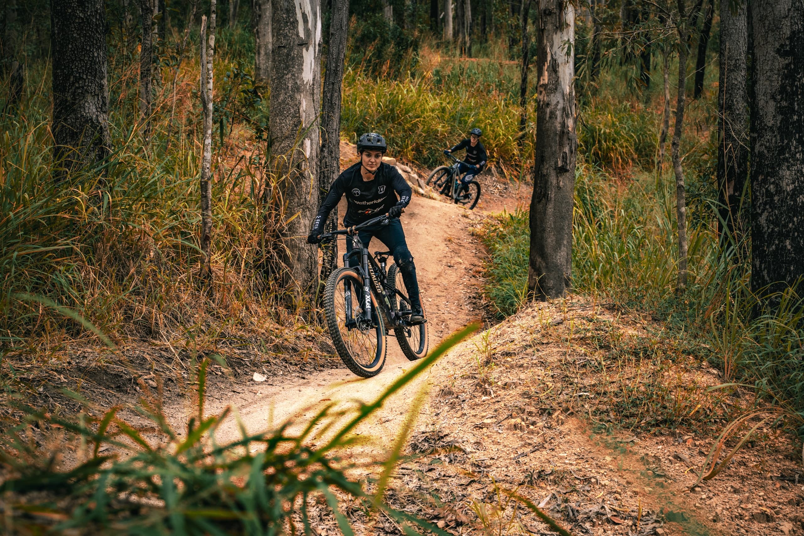 Single mountain biker descending wooded singletrack trail outdoors