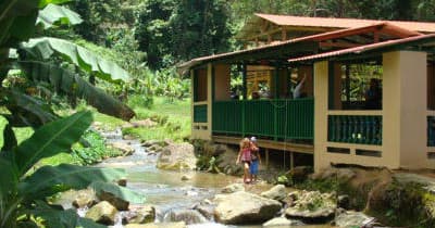 Riverside jungle cabin beside stream in tropical forest retreat