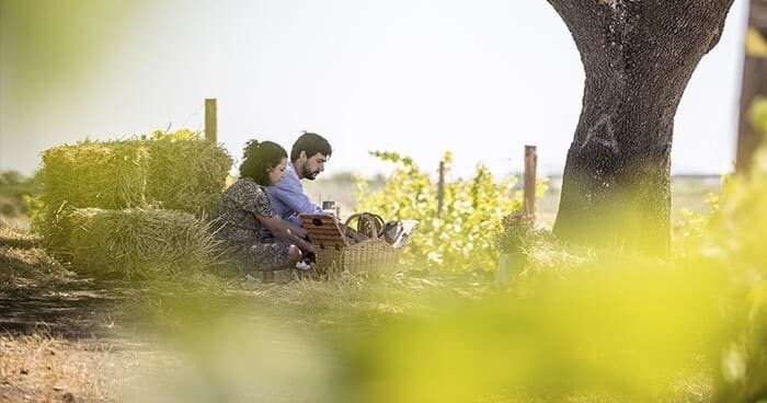 Wine Tasting & Picnic Adventure at Adega Mayor in Alentejo