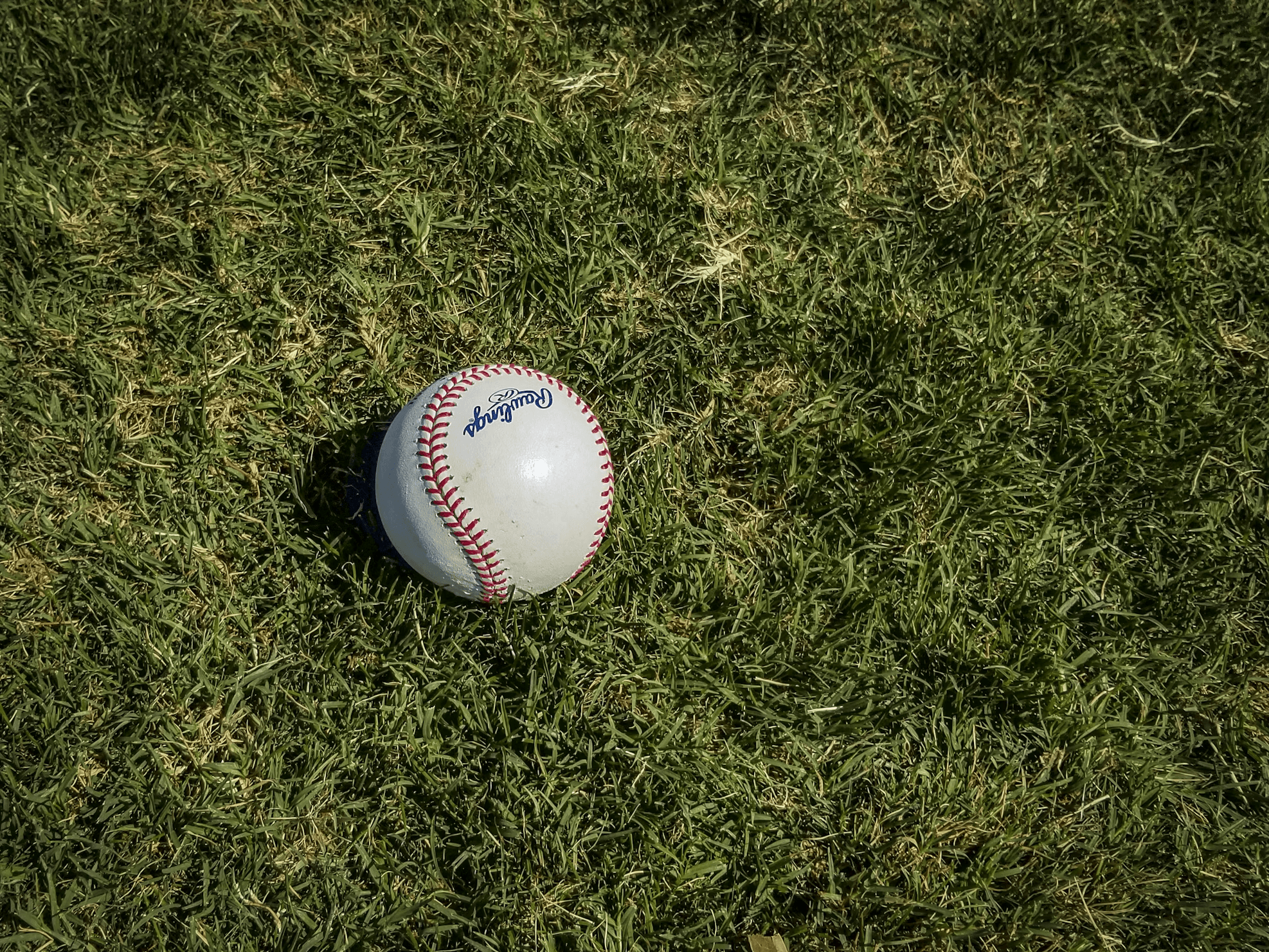Baseball resting on green grass field in daylight