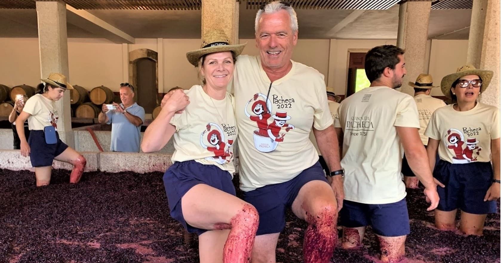 Grape Stomping & Wine Tasting & Traditional Dinner | Guided Tour in Melcões | Food Tour, Attraction, Winery, Wine