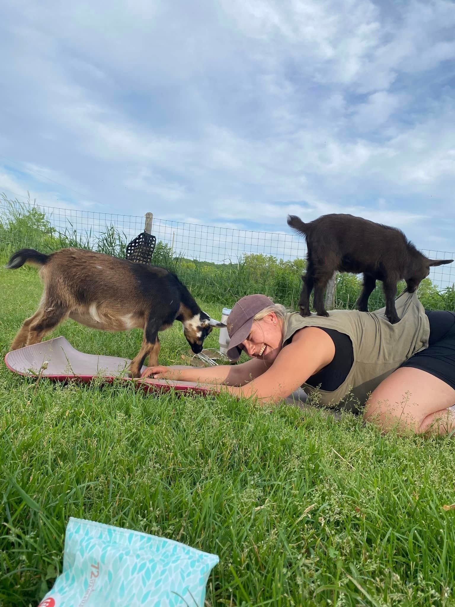 Goat Yoga for Adults in Martintown: Farm-Style Yoga with Goats at 4640 Will Bill Road