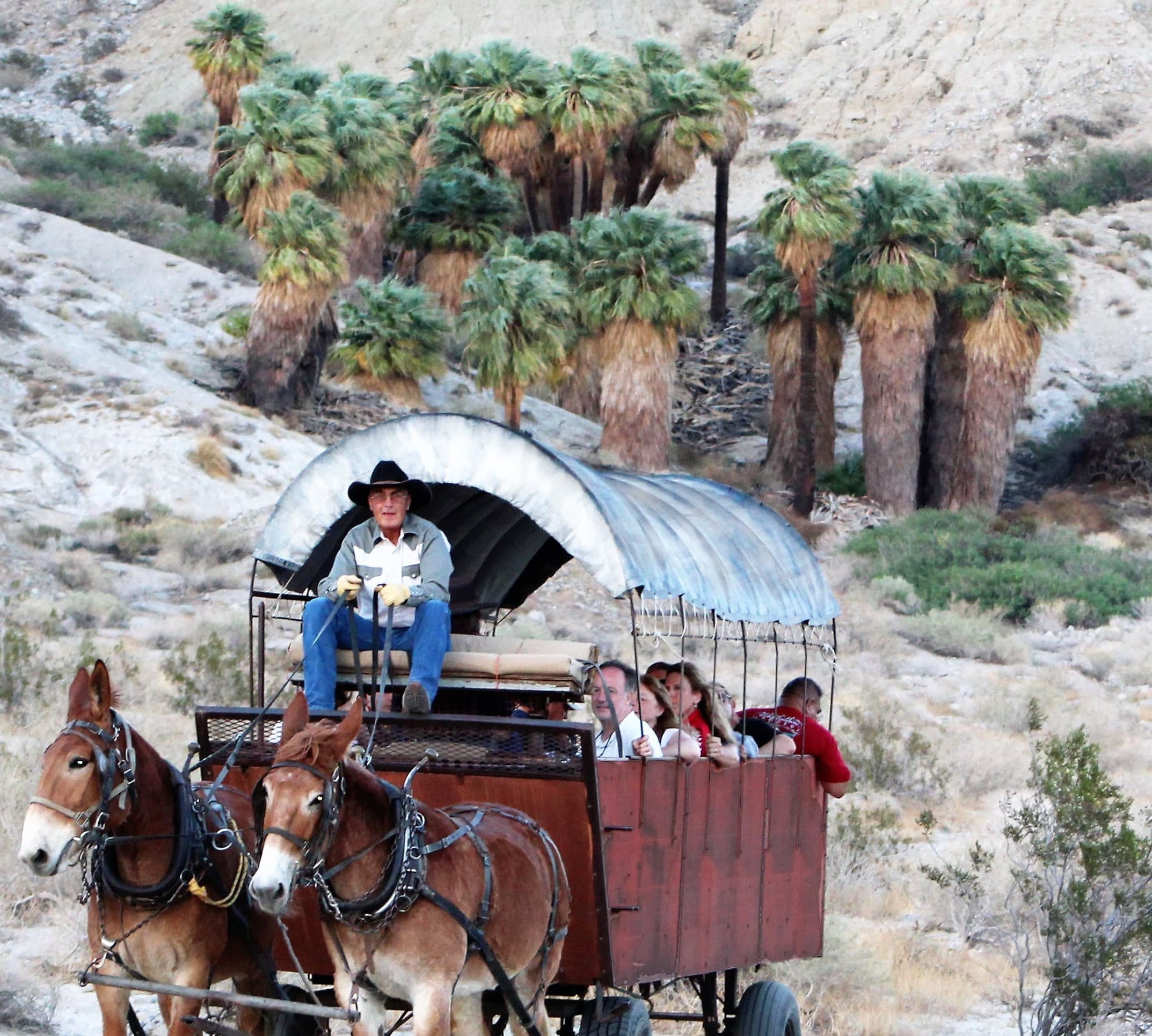Covered Wagon Journey with Covered Wagon Tours in La Quinta