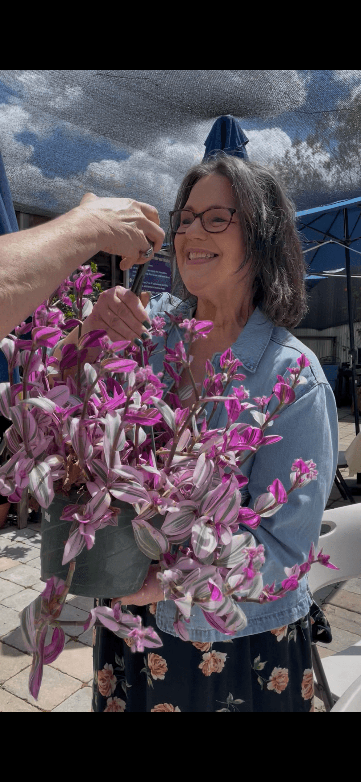 Succulent Bingo in Clovis: Plant Crafting, Street Tacos & Charity Night photo 3