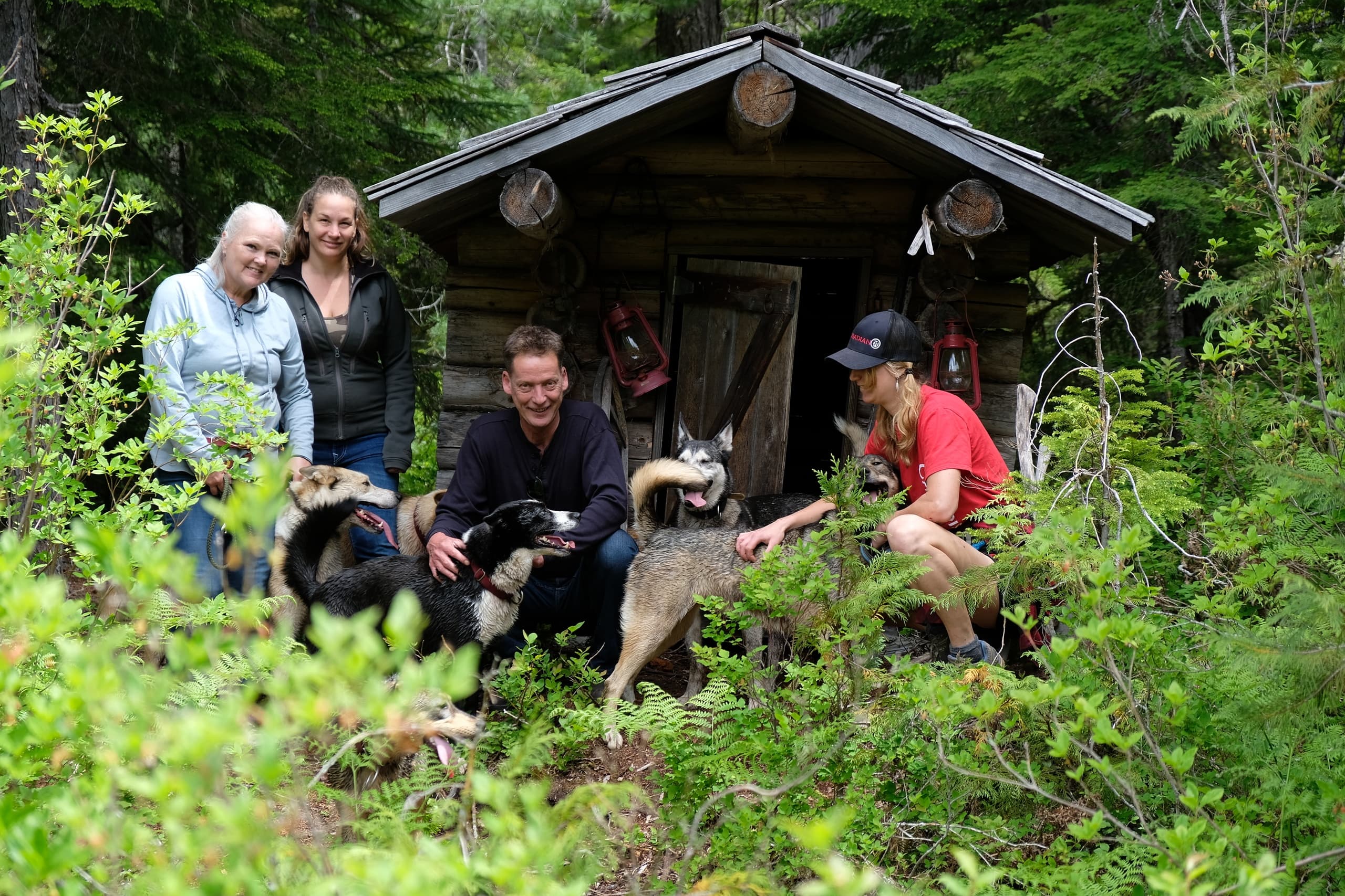 Sled Dog Kennel Tour & Forest Walk with Canadian Wilderness Adventures