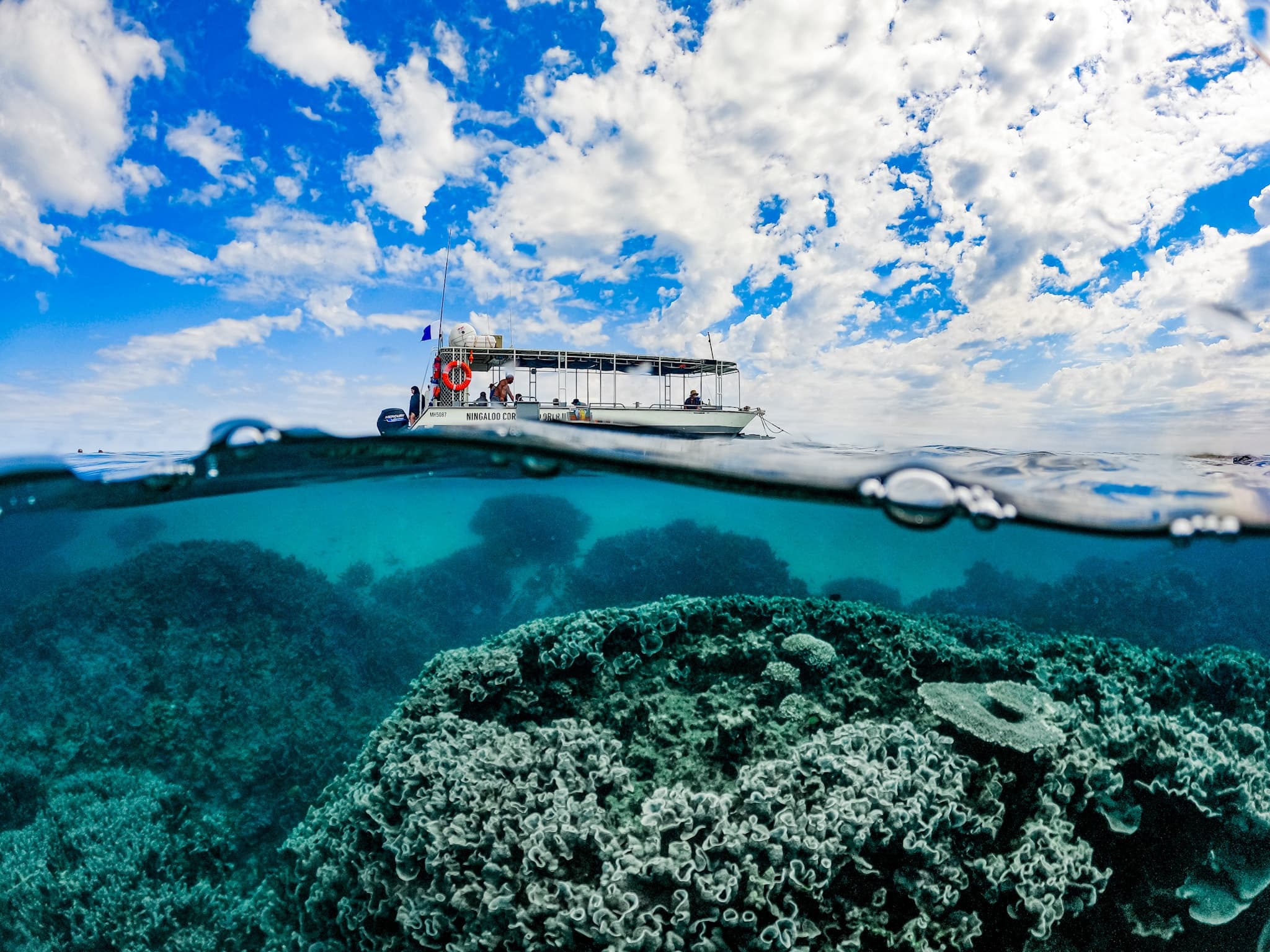 Coral Viewing with Ningaloo Glass Bottom Boat