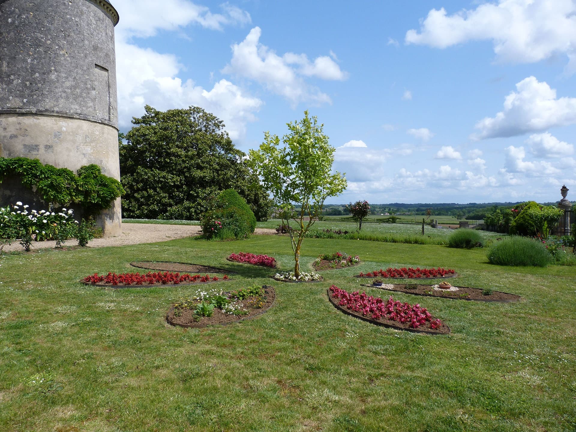 Wine Tasting & Vineyard Tour at Château Saint-Georges