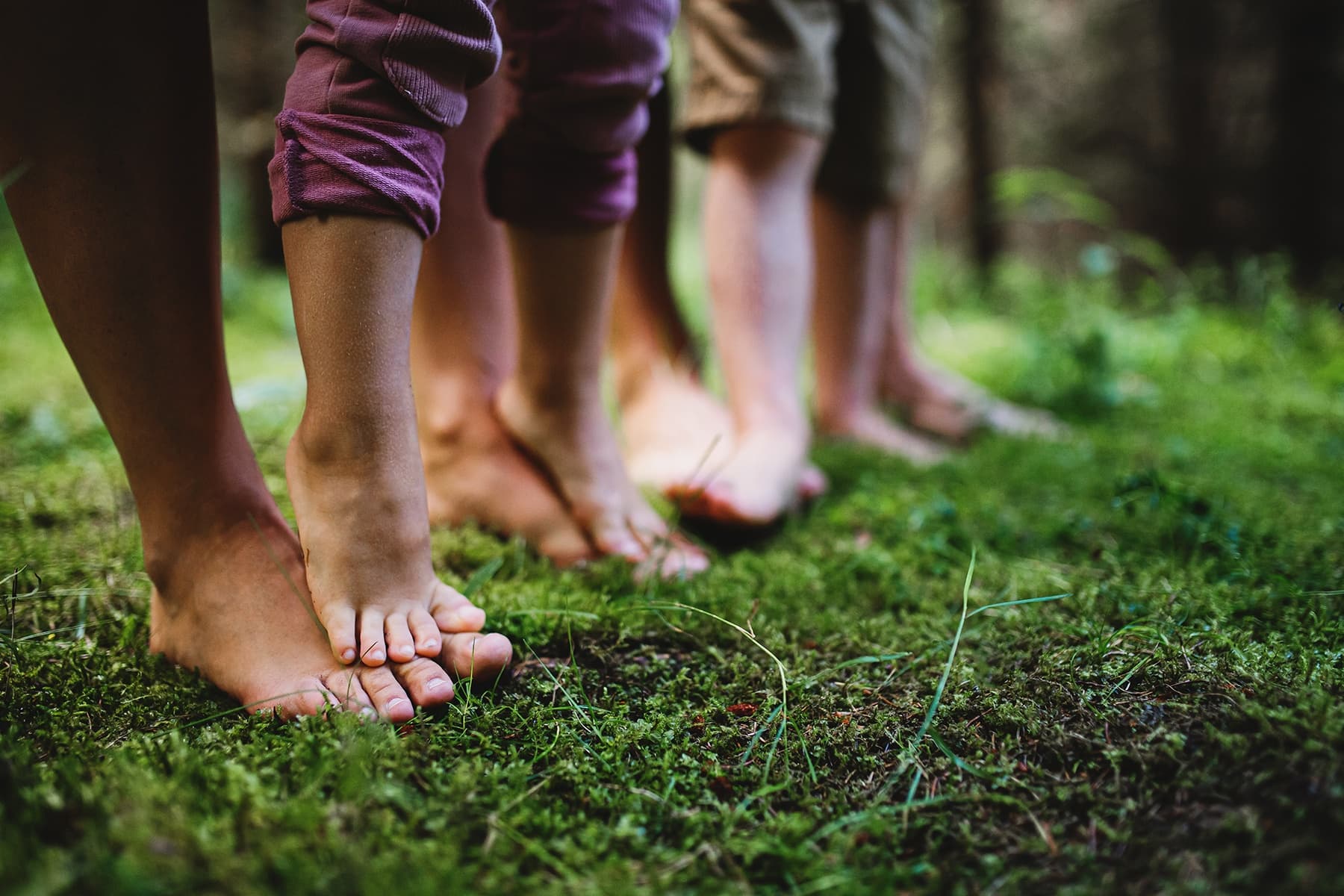 Forest Bathing & Journaling in Galena, Illinois