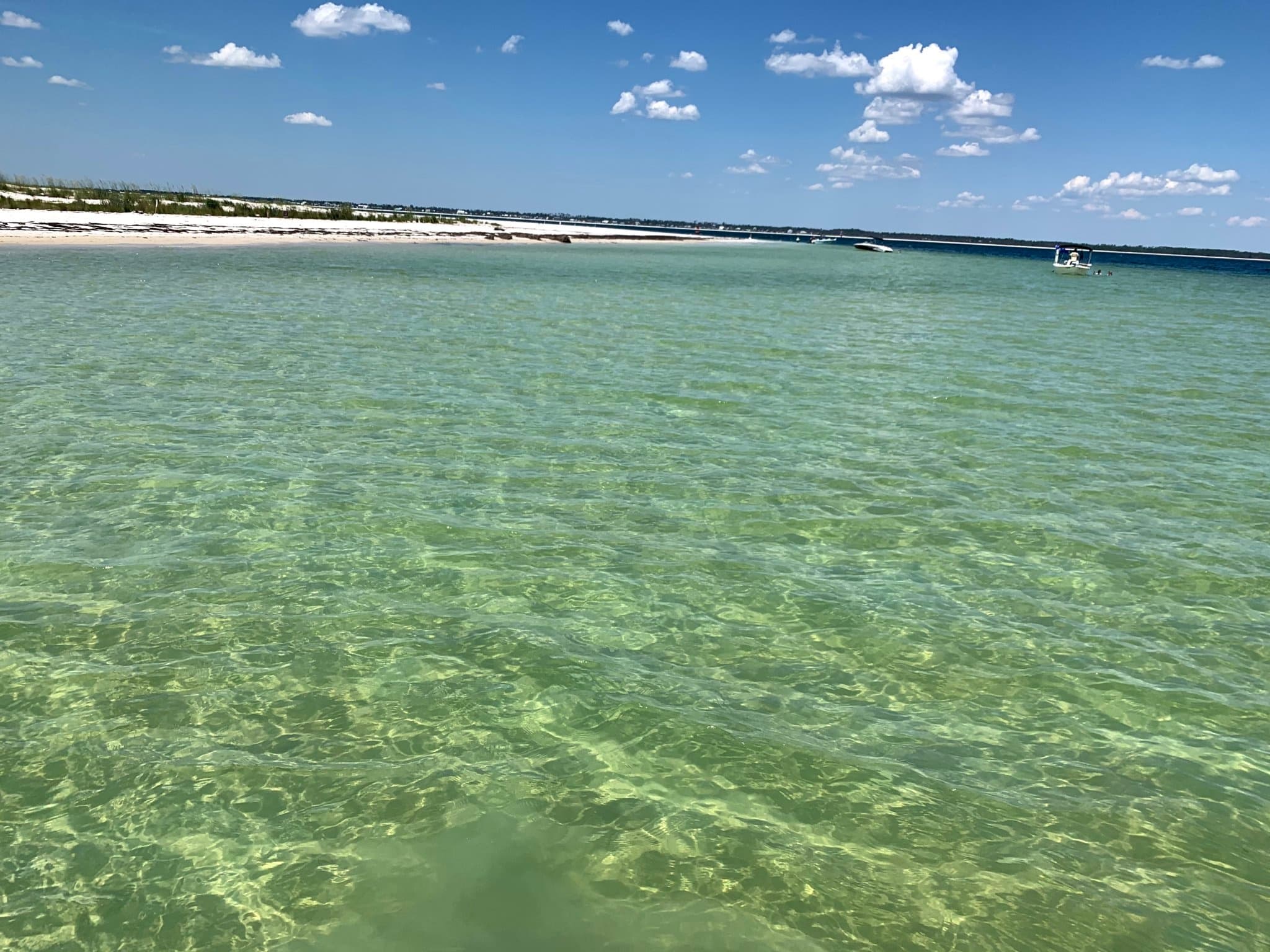 St Joseph Bay Touring with T-Man's Charters in Port St. Joe