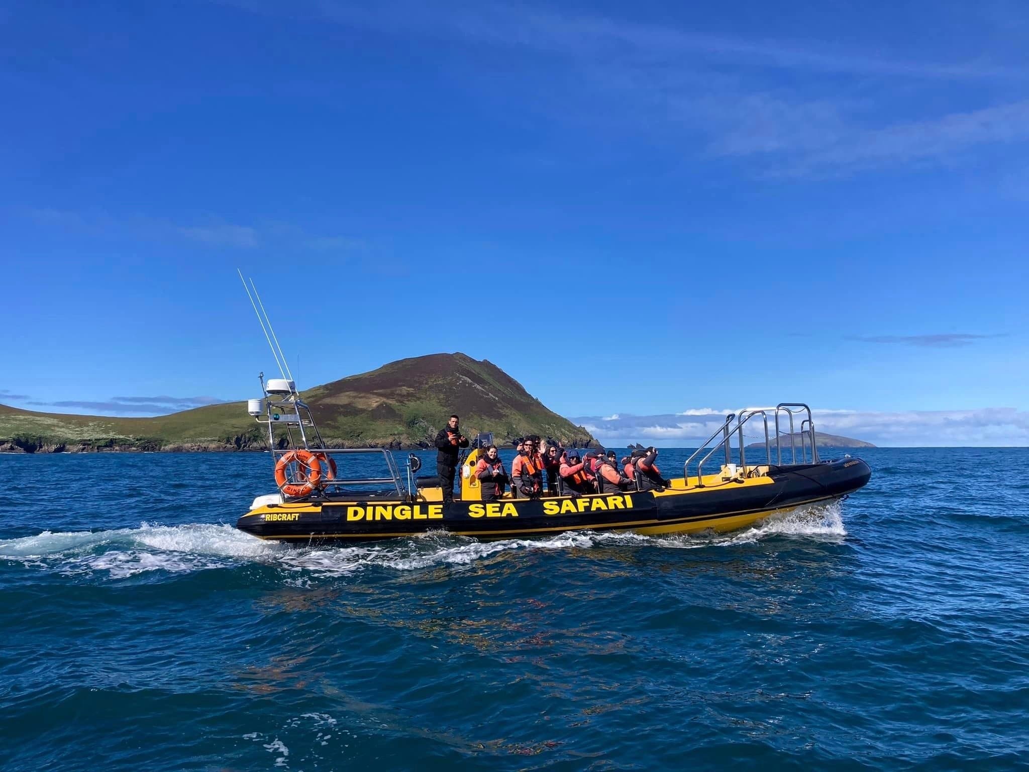 Dingle Sea Safari boat with passengers under clear blue skies
