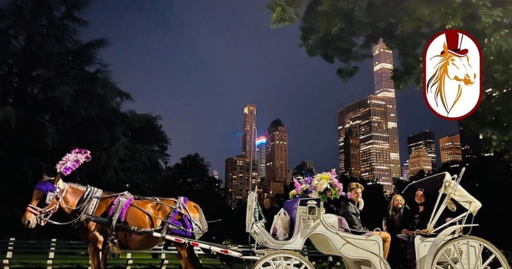 Experience New York City’s Enchanting Night Tour with Horse-Drawn Carriage and Skyline Views