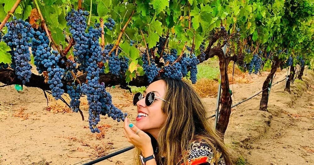 Private Wine Tour Adventures in Temecula Valley