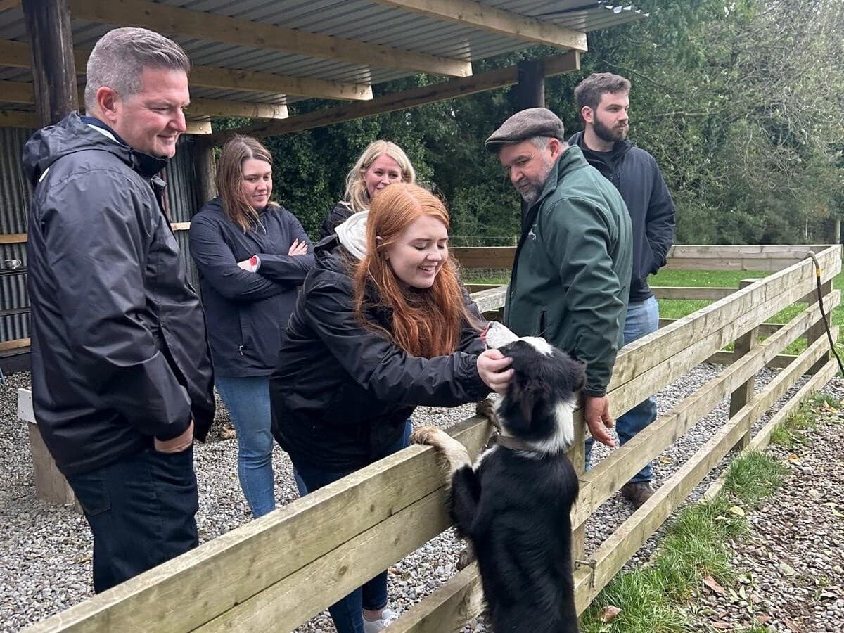 Glendalough Monastery & Wicklow Mountains Sheepdogs Experience — Private Day Trip from Dublin