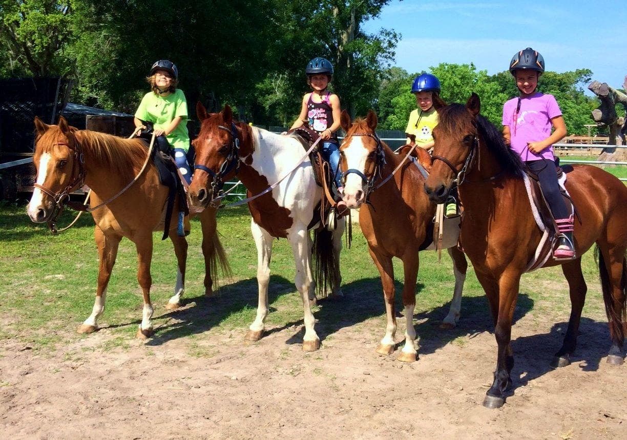 Kids on horses in sunny paddock for family-friendly trail rides