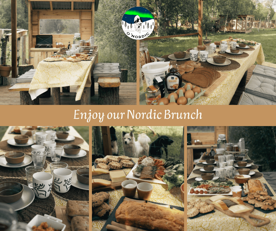 Nordic Brunch with Dogs at O'Nordic near Posio