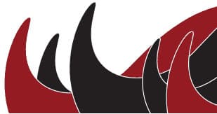 The Boatshed Kayaks fleet
