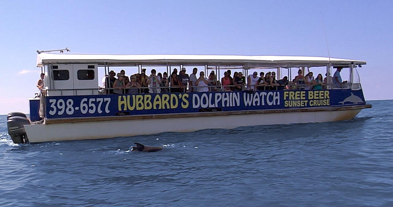 Dolphin watch boat cruising offshore under blue sky
