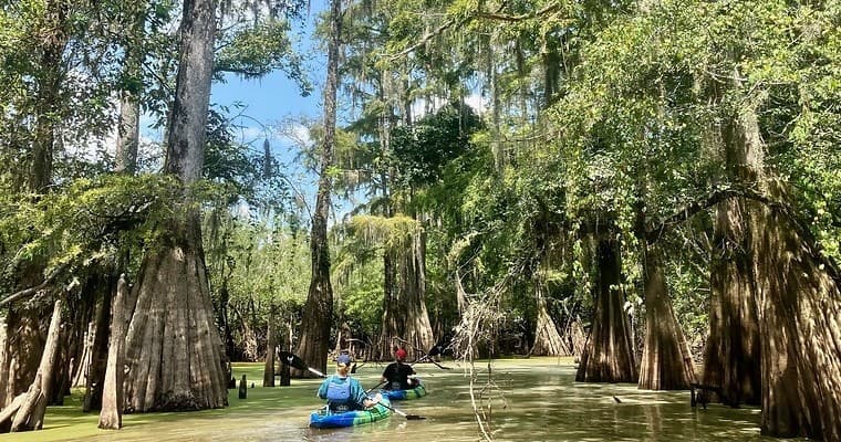Paddle the Manchac Swamp: Private Kayak Tour from New Orleans
