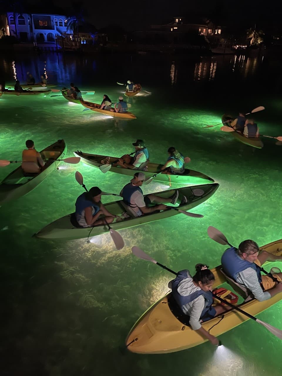 Glass Bottom Kayak Tours with Sharkey's in Indian Rocks Beach