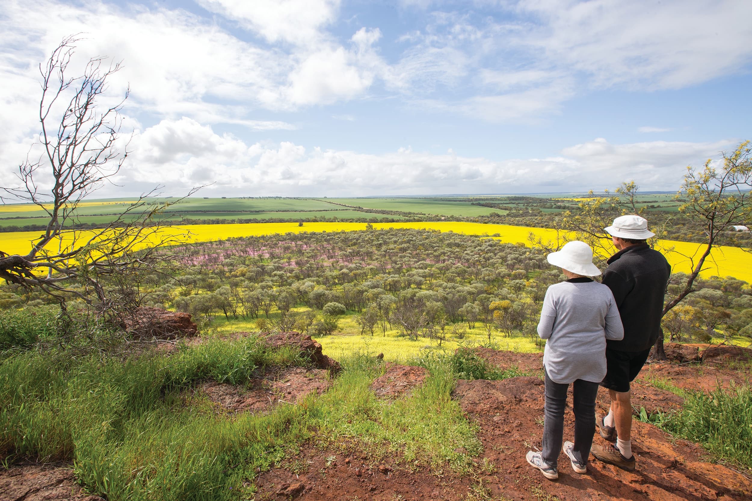 Couple hiking overlook canola fields, scenic Midwest vista