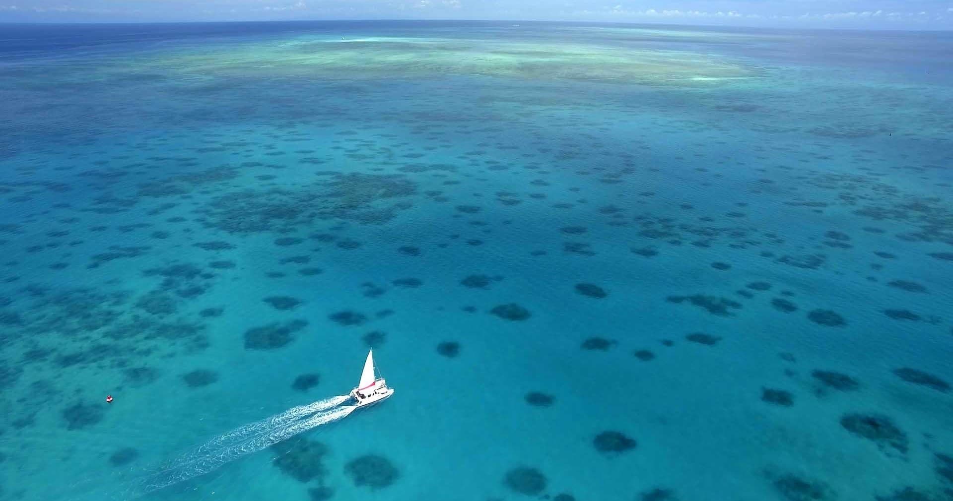 Aerial sailboat over vibrant coral reef and turquoise sea