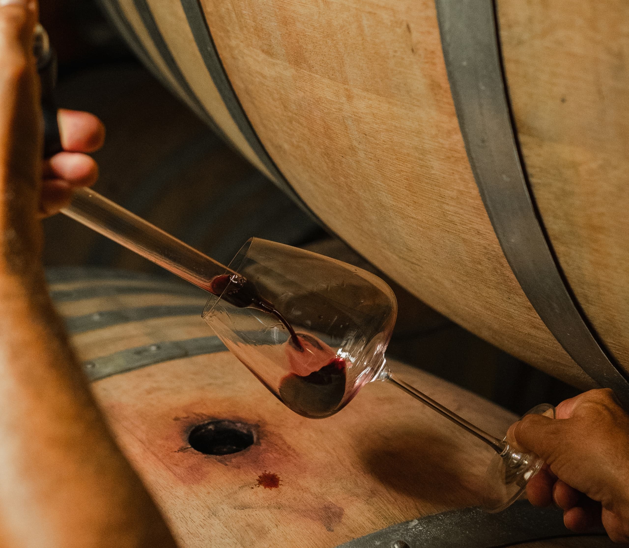 Backstage Brunello Wine Tasting at Loacker Estates