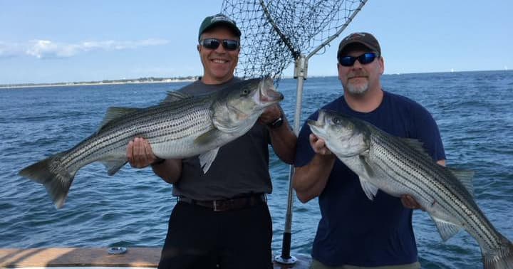 Bonita II Sportfishing Charters fleet