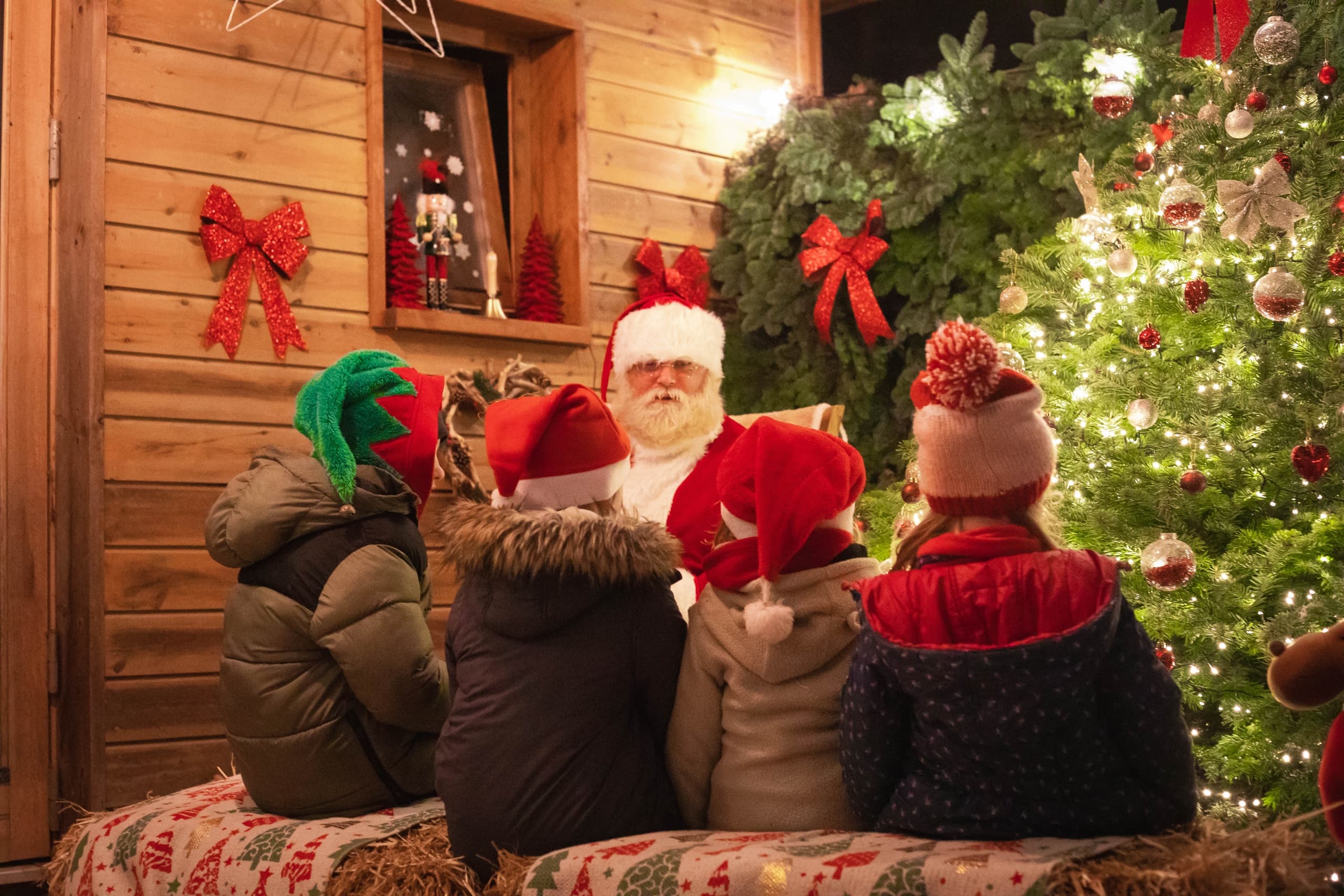 Magical Horse-Drawn Carriage Ride to Santa’s Woodland Workshop in Wicklow