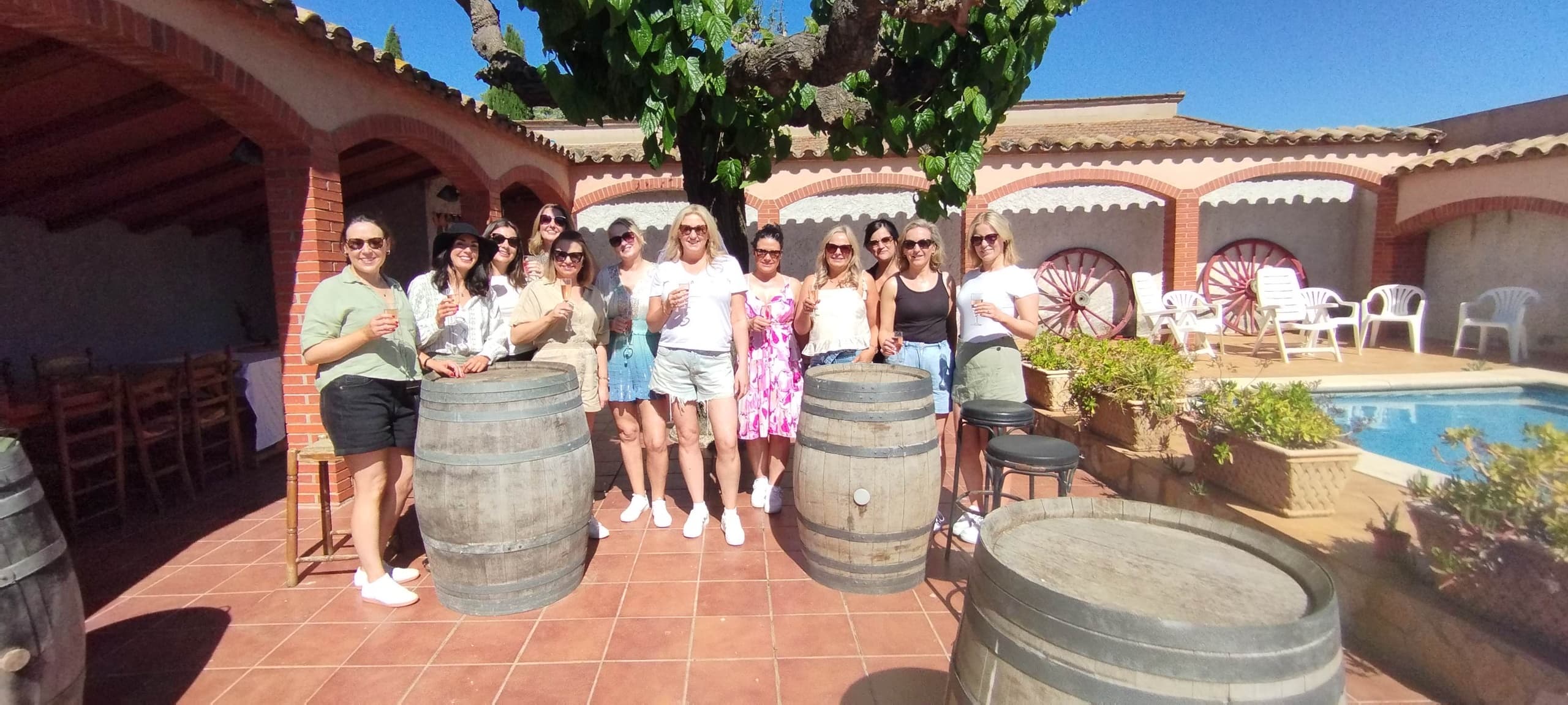 sitges-private-villa-wine-tasting-sommelier-cava-experience photo 3