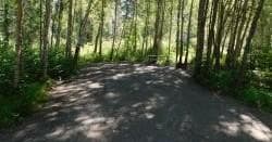 Secluded Campsite Stays at Montana Creek Campground, Alaska