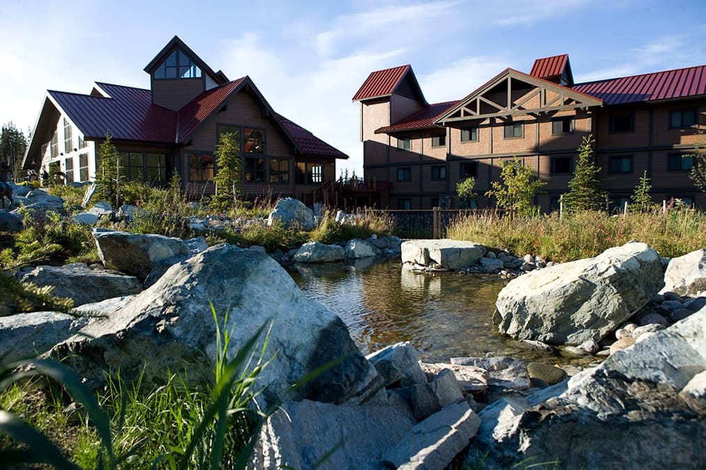Denali & Talkeetna Luxury Dome-Train Escape — 5-Day Pre-Cruise Rail & Wildlife Experience photo 2