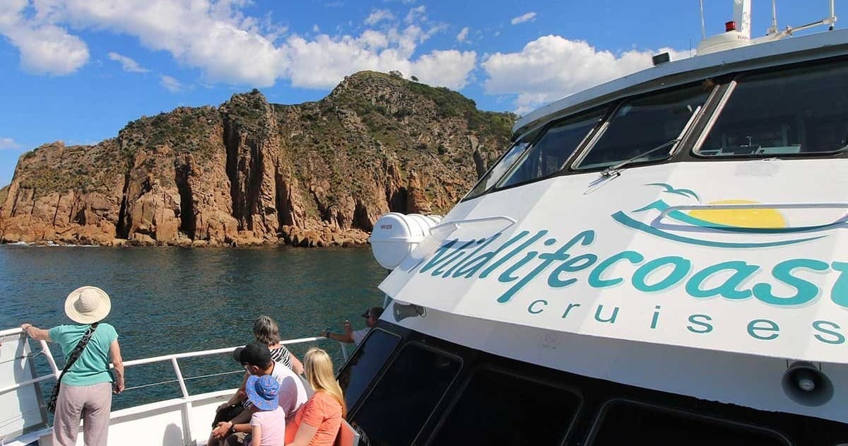 Cape Cruise to Cape Woolamai: Phillip Island Wildlife & Granite Cliffs from San Remo photo 4