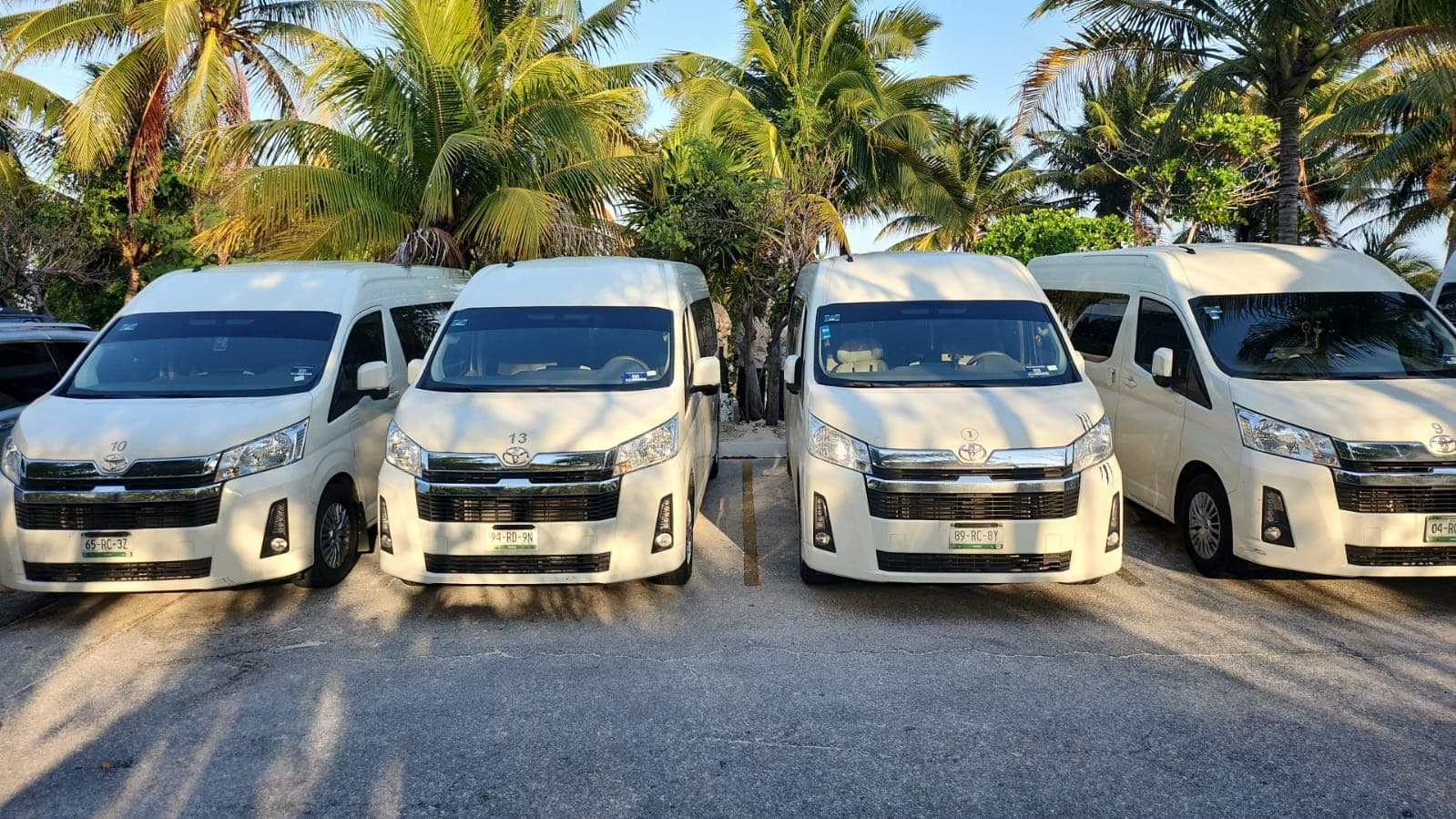 Seamless Private Transfer from Playa del Carmen to Holbox Island: Stress-Free Travel to Paradise