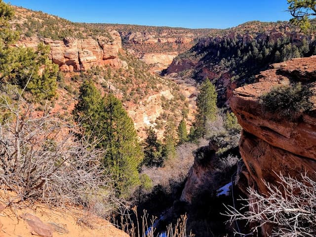 Hiking South Fork Indian Canyon with All Ways Adventure