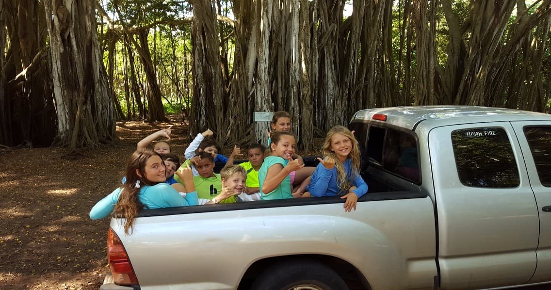 Group of children in pickup truck beneath banyan trees at park