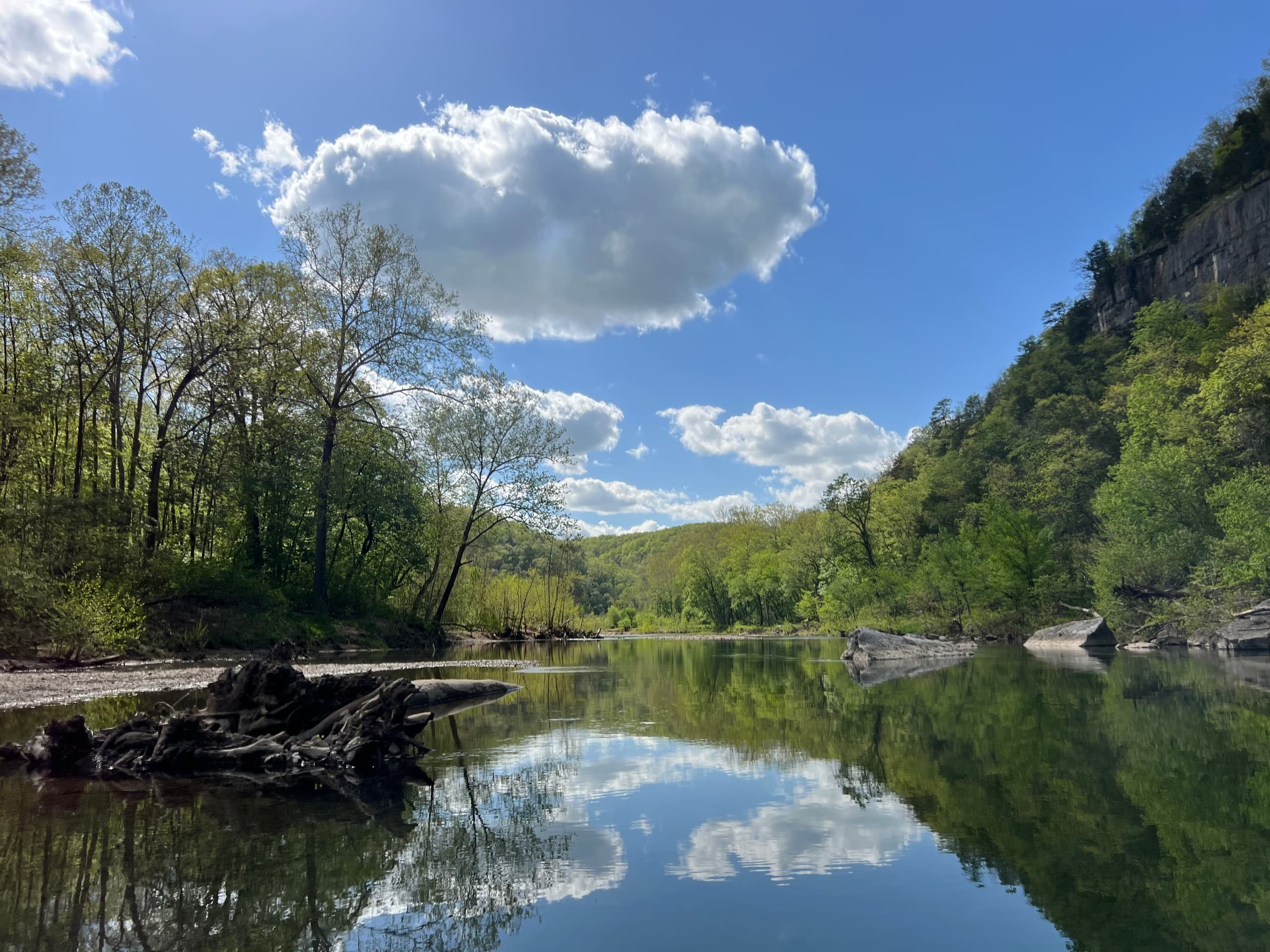 Calm reflective river with blue sky and wooded riverbanks