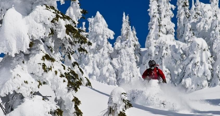 Backcountry Snowmobile Thrills with Canadian Wilderness Adventures