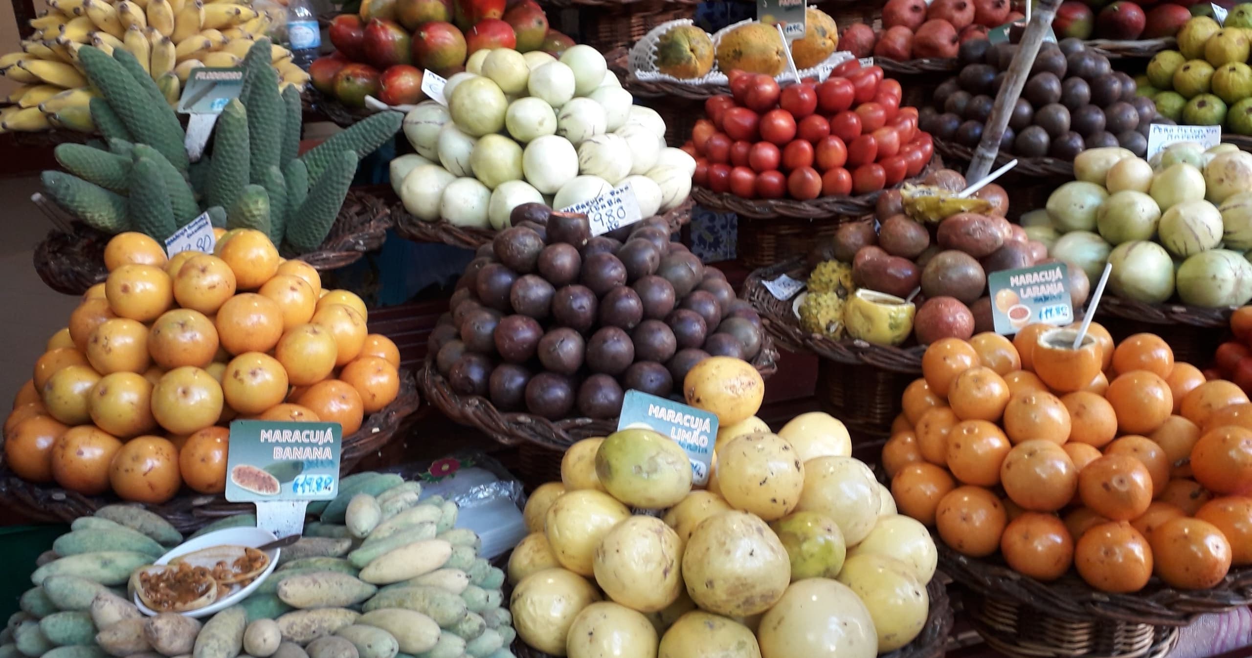 Madeira Tours with Eco Trilha: Island Walks & Culture