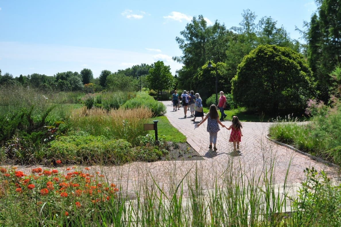 Visitors walking garden trails among wildflowers and paths