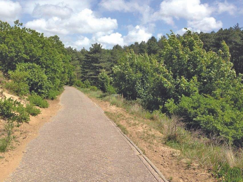 Bike Rentals in Bloemendaal with Behind The Beach