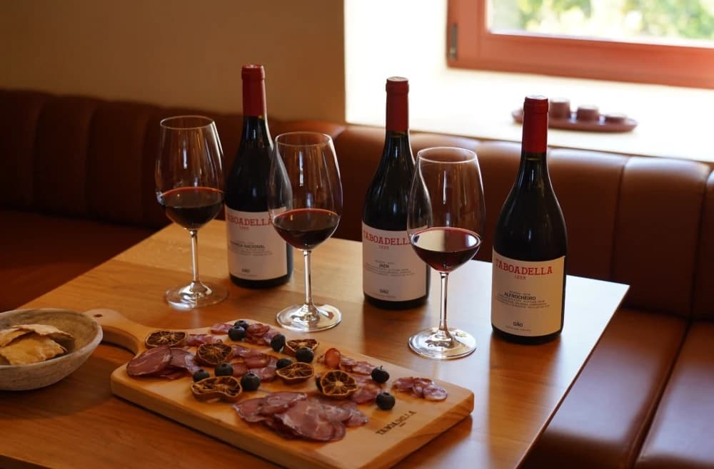Prova Terroir: Tastings at Quinta Da Taboadella — Discover Dão's Native Grapes