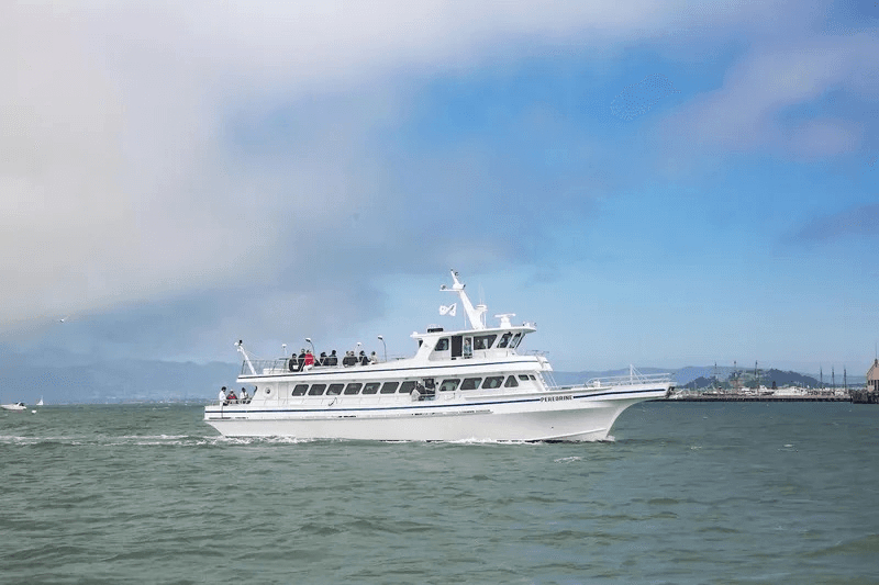 Whale-watching yacht cruising Pacific coastal bay with passengers